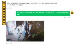 各种爆料视频网友,视频背后的真相与争议
